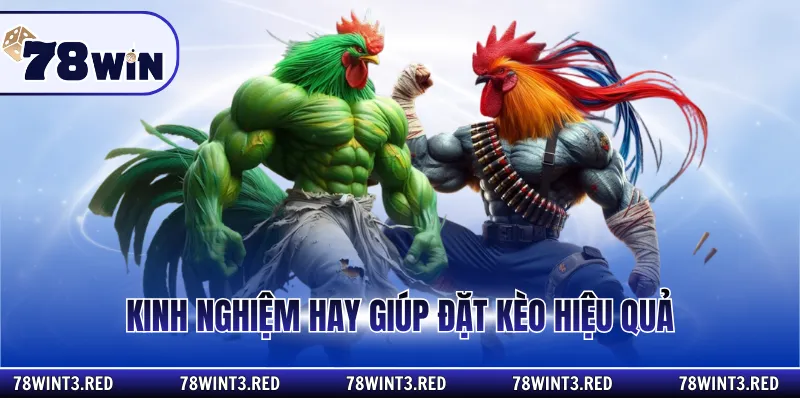 Kinh nghiệm hay giúp đặt kèo hiệu quả