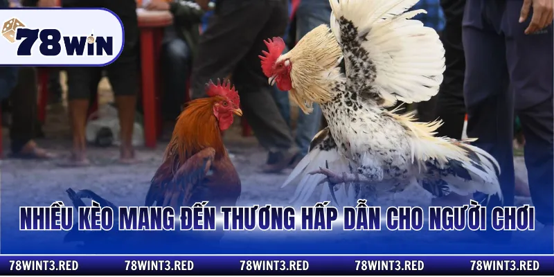 Nhiều kèo mang đến thương hấp dẫn cho người chơi